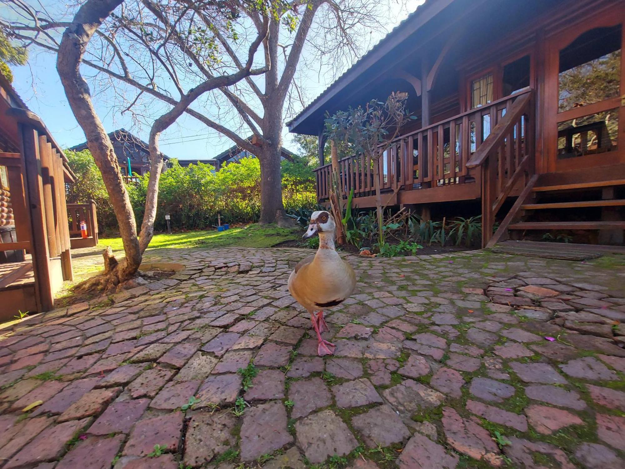 คนิสนา ริเวอร์คลับ Apartment ภายนอก รูปภาพ